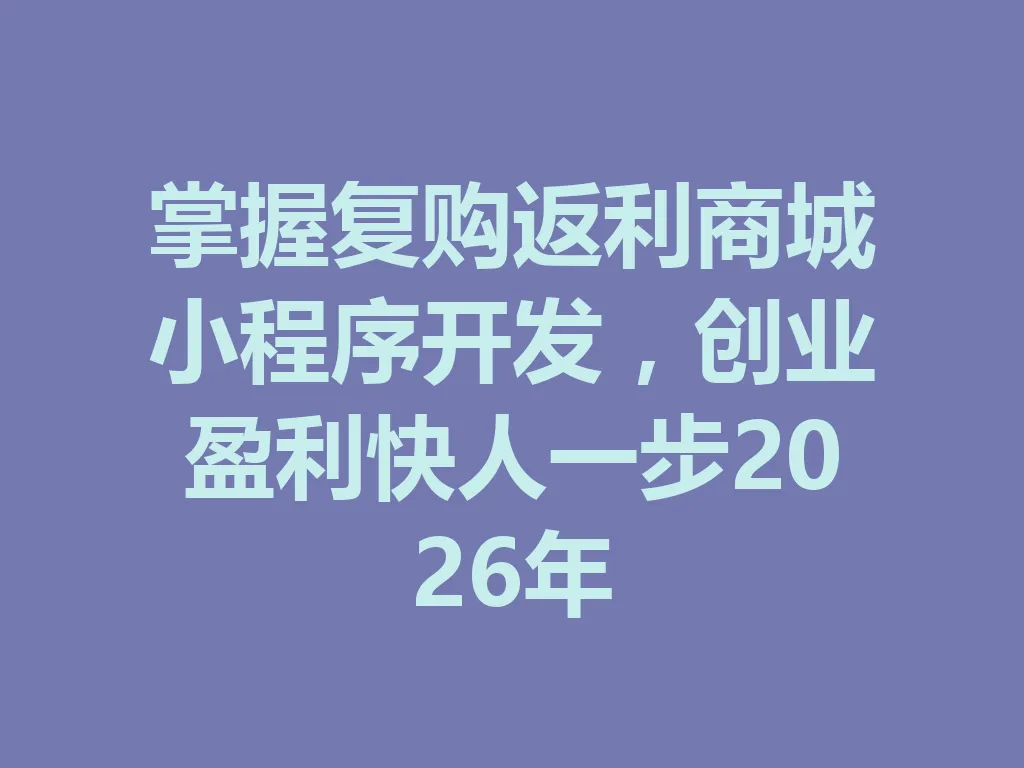 掌握复购返利商城小程序开发，创业盈利快人一步 2026 年 一
